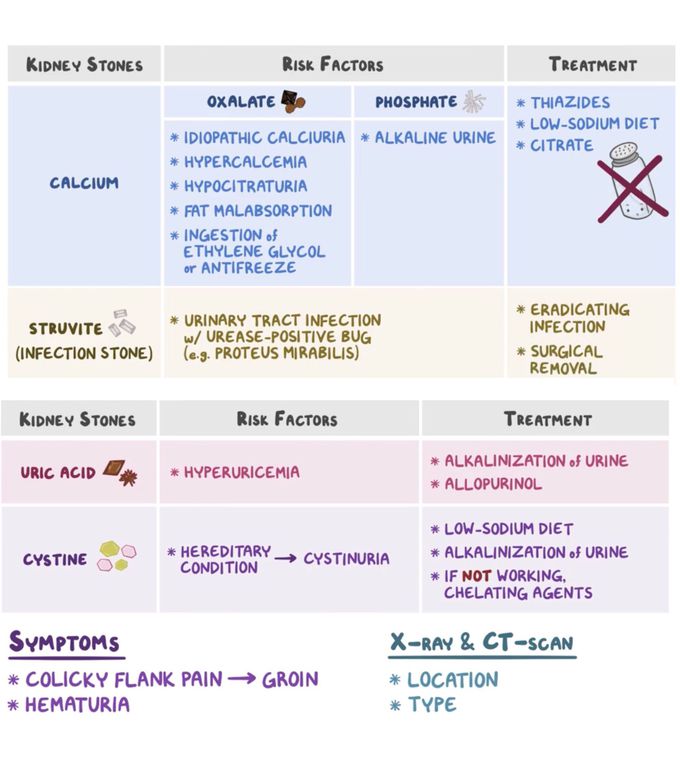 Renal Disorders MEDizzy