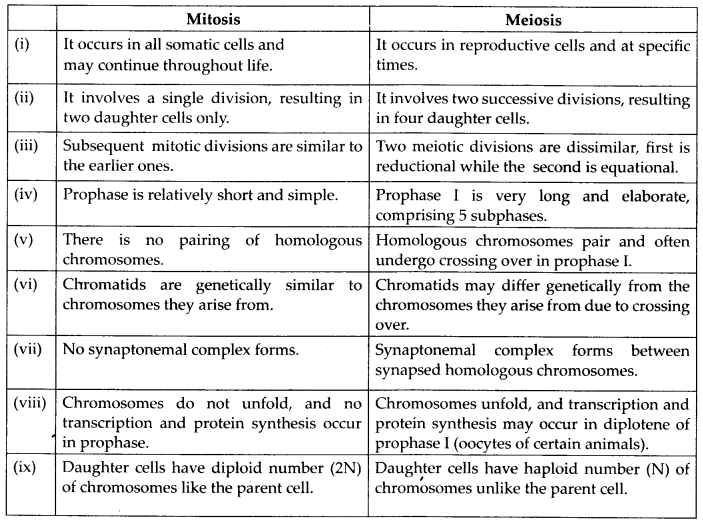 Mitosis Vs Meiosis Medizzy