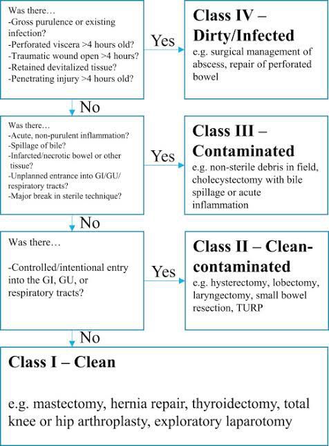 Classification Of Wounds MEDizzy