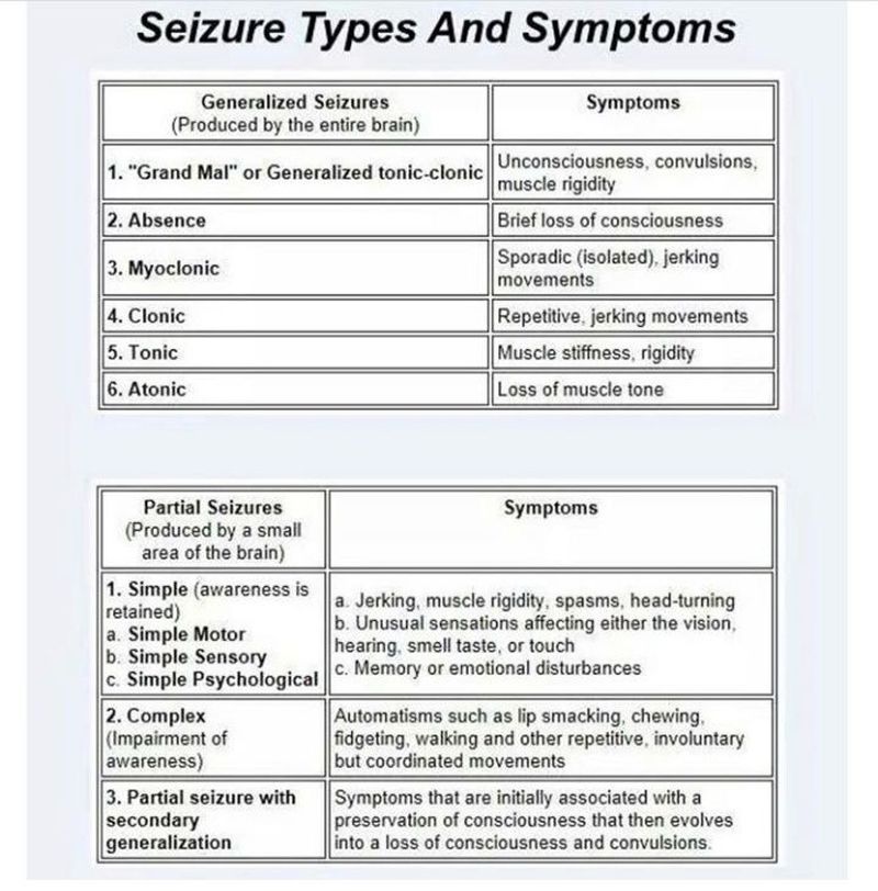 Types And Symptoms Of Seizures MEDizzy