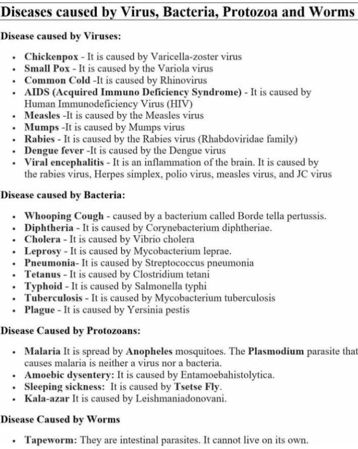 Diseases Caused By Virus Bacteria And Protozoas Medizzy