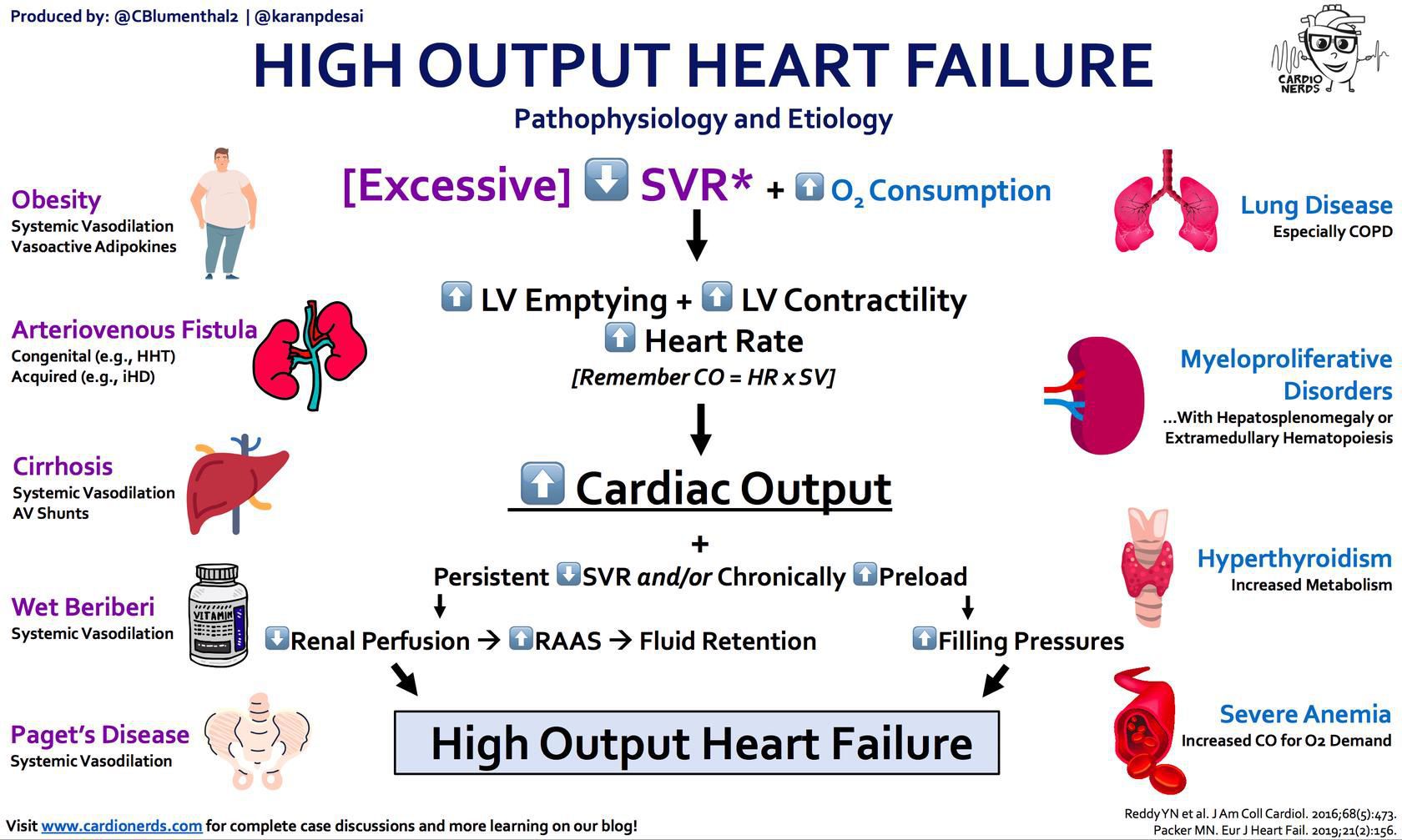 High Output Heart Failure Medizzy