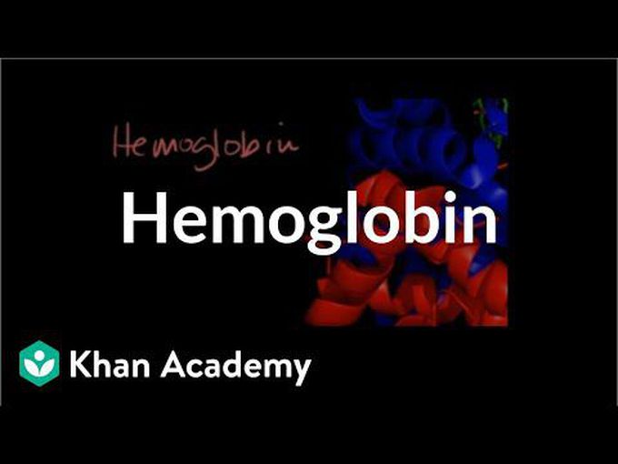 Detailed guide to Hemoglobin: structure and properties