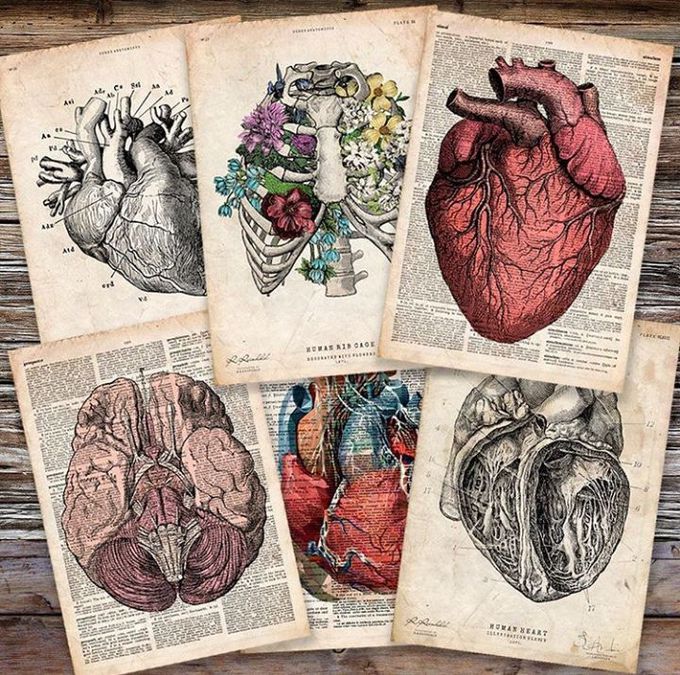 Medical
