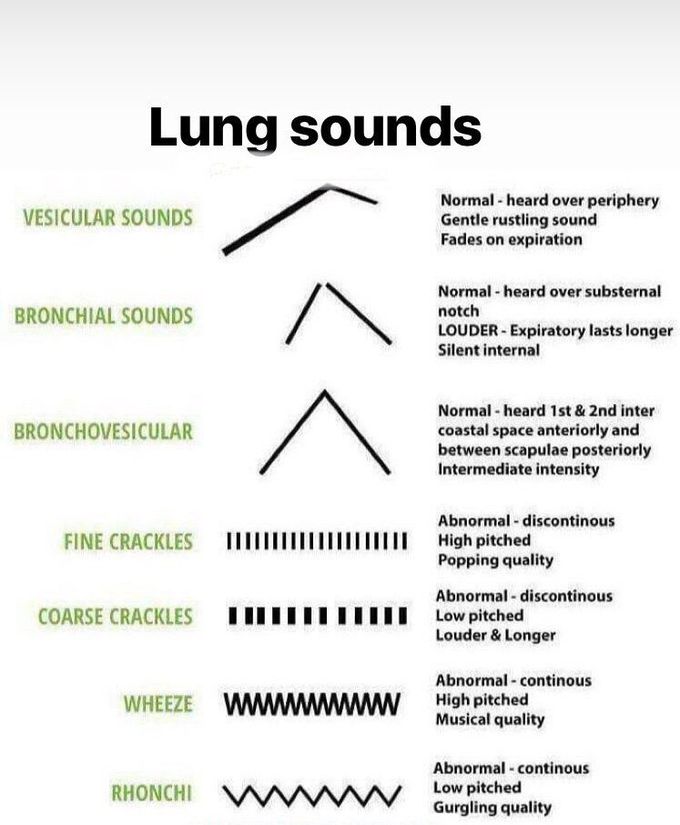 Lung sounds