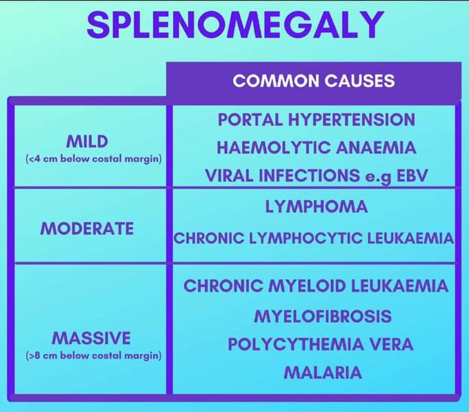 Causes of Splenomegaly - MEDizzy