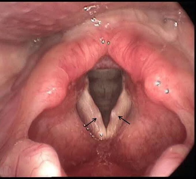 Diagnose the case!