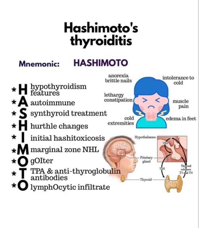Hashimoto's disease- Mnemonic