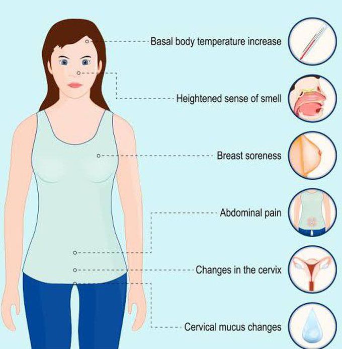 These are the symptoms of Mittelschmers