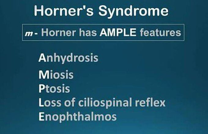 Mnemonics horner syndrome