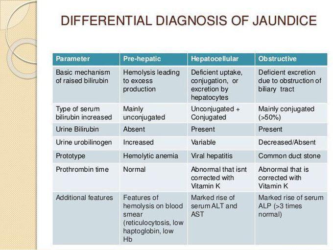 Differential Diagnosis of Jaundice