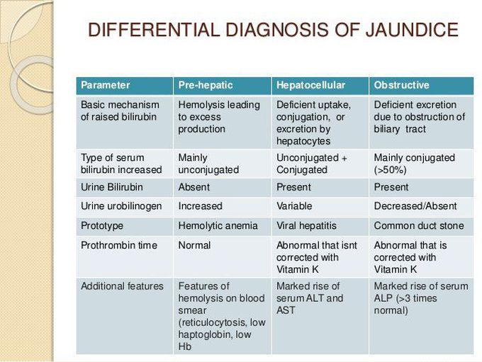 Differential Diagnosis of Jaundice - MEDizzy