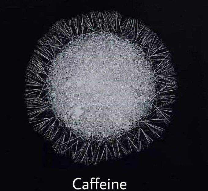 Caffeine under microscope