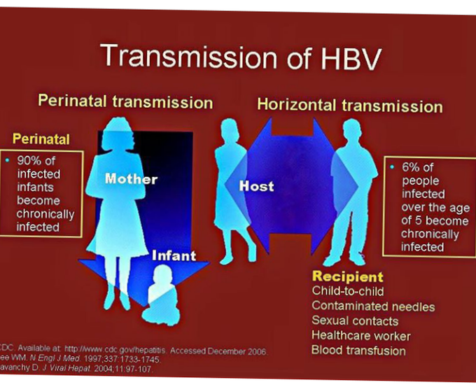 Transmission of HBV