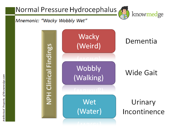 Normal Pressure Hydrocephalus - Mnemonic