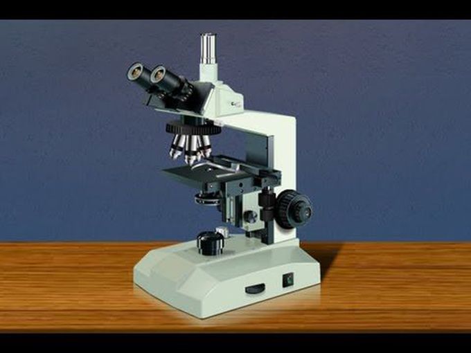 Brief description of the light microscope.