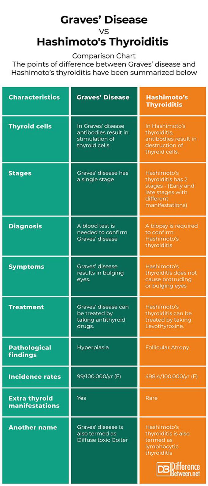 Grave's Disease vs Hashimoto's Thyroiditis