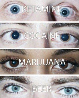 The effects of the most used recreational drugs on the - MEDizzy