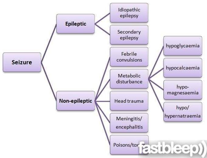 Causes of seizure in diagram simple