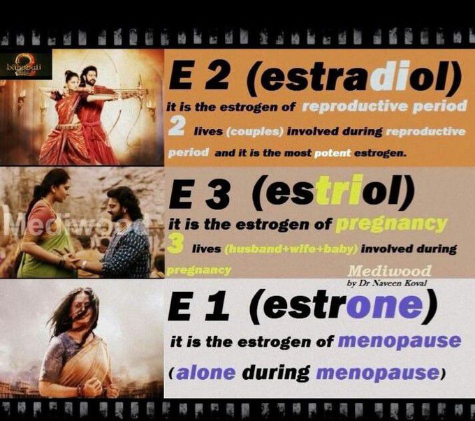 Types of Estrogens - E1 E2 E3