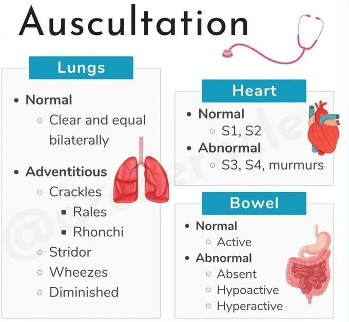 Auscultation