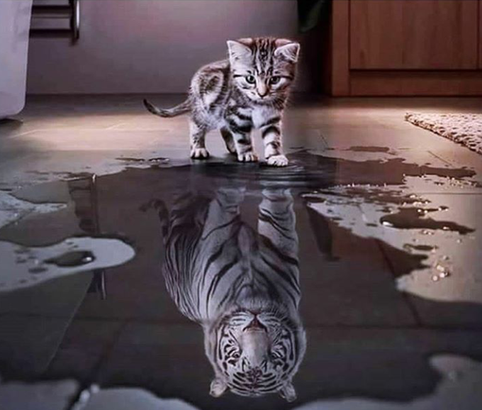 Just believe in yourself👌