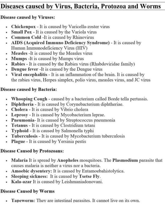 Microbiology review