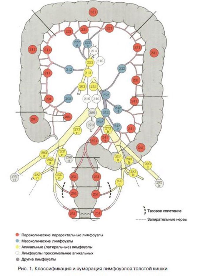 Lymphatic system of colorectal region