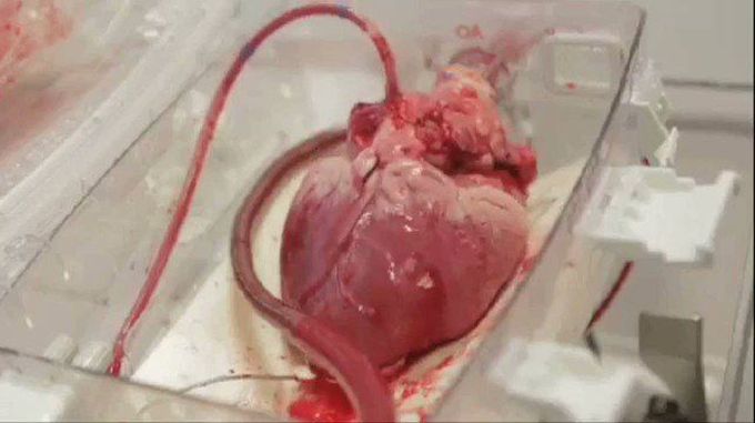 Medical Vids on Twitter