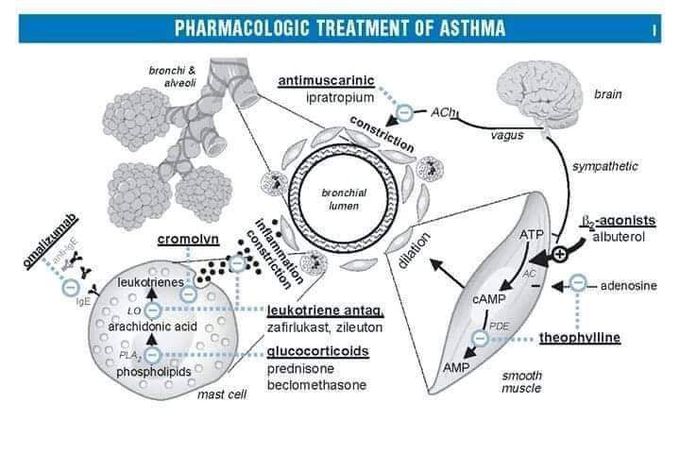 Pharmacology made easy