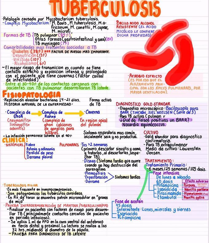 Tuberculosis