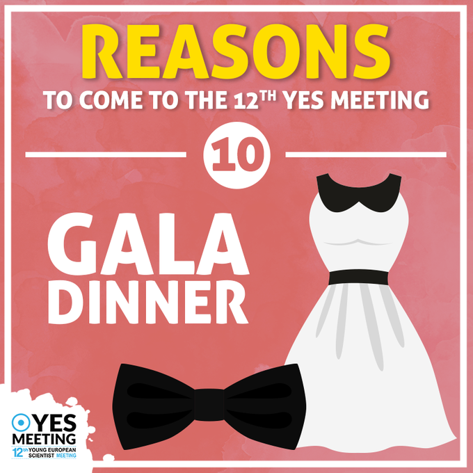 TOP REASONS TO ATTEND THE 12TH YES MEETING