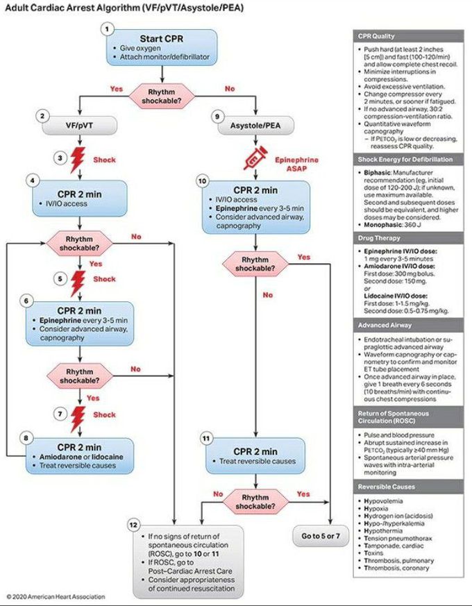 Cardiopulmonary resuscitation