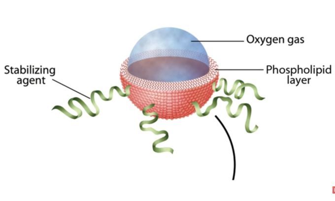 MORE STORIES

A breath of 'fresh air'? Oxygen micro-particle lets you live without even breathing