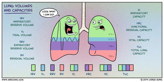 Lung volumes and capacities