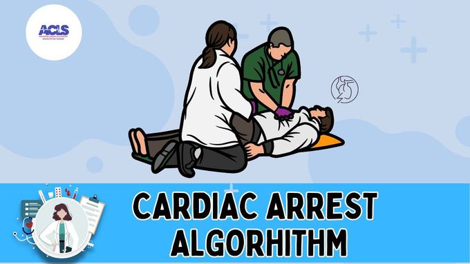 Cardiac Arrest Algorhithm In ACLS | ACLS & BLS certification Program | EMS