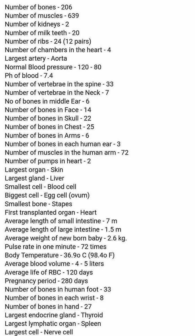 Facts about human body