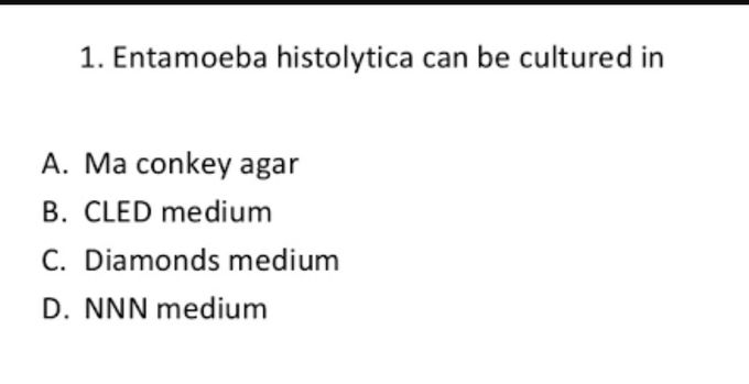 Wht is the correct ans ? 🤔🤔