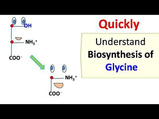 Glycine biosynthesis mechanism