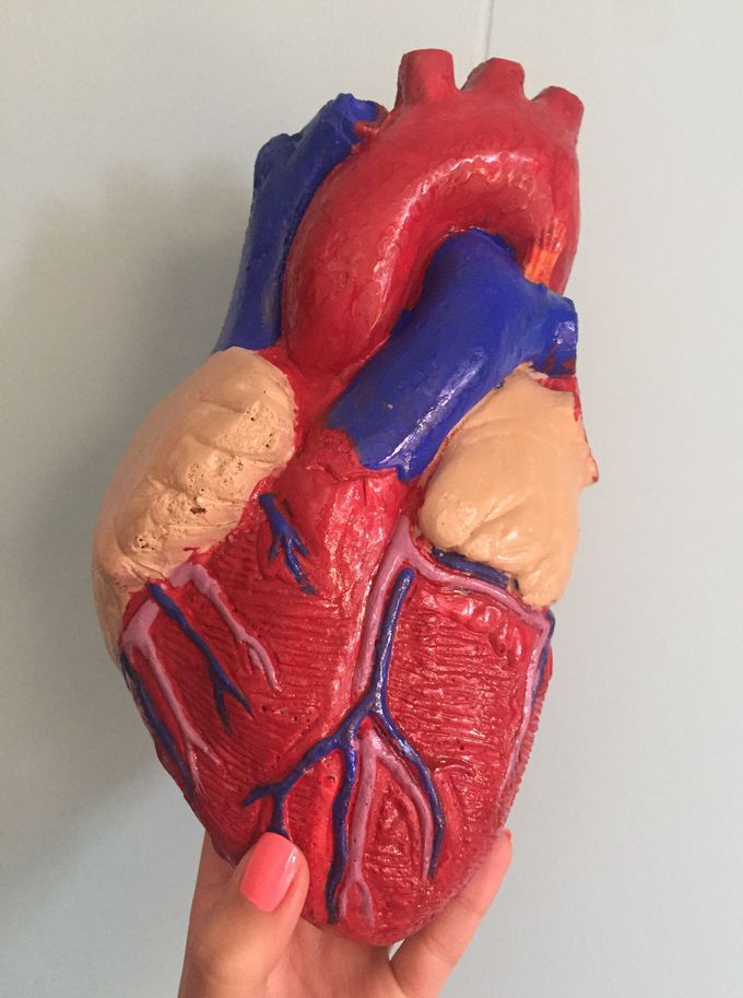 Painted by hand, my human heart replica
