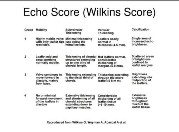 Wilkin score Mitral Regurgitation