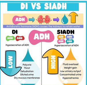 DI vs SIADH - Diabetes Insipidus | Treatment best Option | Best Homeopathic Doctor in Pakistan | Dr Qaisar Ahmed MD, DHMS