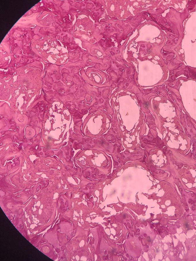 Could you recognise this tissue?