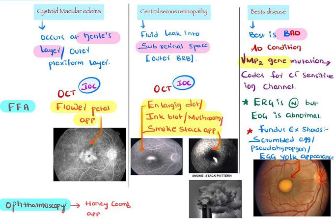 Imp Ophthalmology