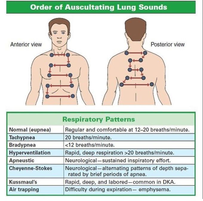Auscultating Lung Sounds
