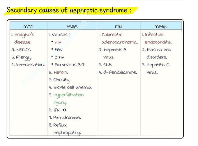 Nephrotic Syndrome II