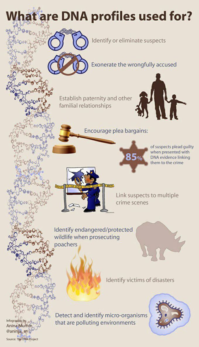 What are DNA Profiles used for ...