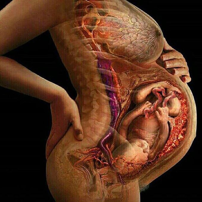 Pregnancy, Two lives together!