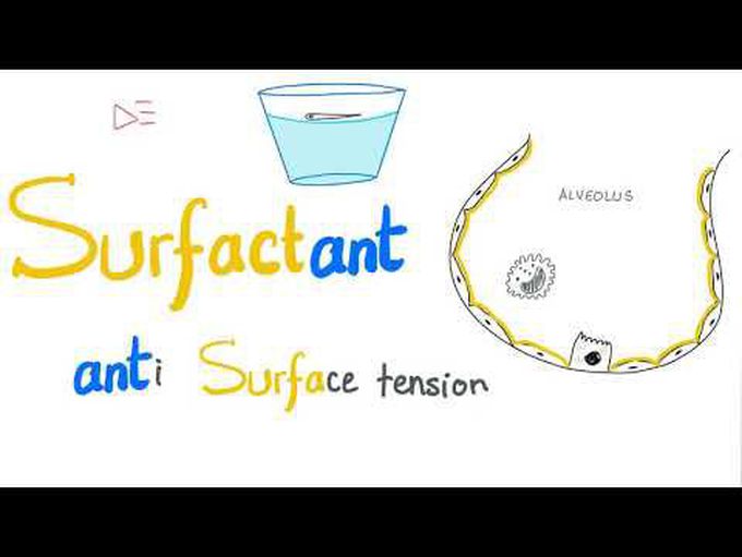 Surface Tension and Surfactant