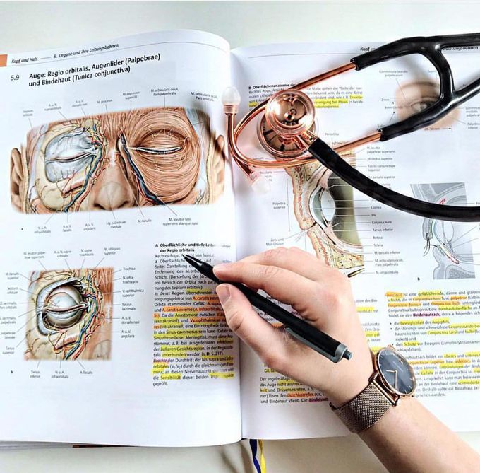 Anatomy 😍😍😍